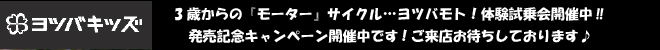 ヨツバモトデビューフェア開催中!